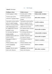 Specialybės kalbos kultūros namų darbas 6 puslapis