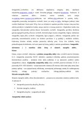 Smegenėlių anatomija ir funkcija 2 puslapis