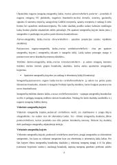 Smegenėlių anatomija ir funkcija 7 puslapis