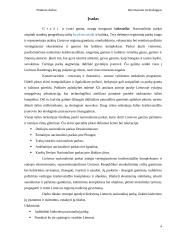 Lietuvos nacionaliniai parkai referatas 4 puslapis