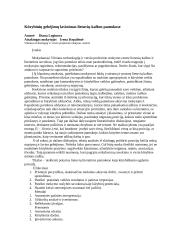 Kūrybinių gebėjimų lavinimas lietuvių kalbos pamokose 4 puslapis