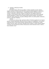 Kūrybinių gebėjimų lavinimas lietuvių kalbos pamokose 5 puslapis