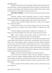 Sojos sudėties, savybių kitimo ir vertės analizė 18 puslapis