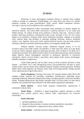 Dėl kokių priežasčių darbuotojai patiria stresą darbe? Ar galima šį stresą sumažinti? 3 puslapis