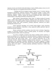 Dėl kokių priežasčių darbuotojai patiria stresą darbe? Ar galima šį stresą sumažinti? 10 puslapis