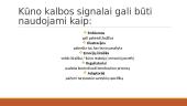 Neverbalinė komunikacija skaidrės 16 puslapis