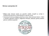 Dėl kokių priežasčių darbuotojai patiria stresą darbe? Ar galima šį stresą sumažinti? Skaidrės 3 puslapis