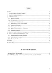 Verslo idėja. Komandinis namų darbas 2 puslapis