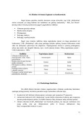 Verslo idėja. Komandinis namų darbas 11 puslapis