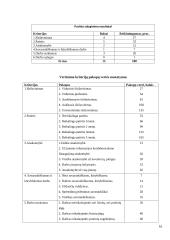 Verslo idėja. Komandinis namų darbas 16 puslapis