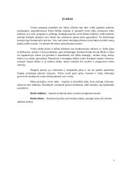 Verslo idėja. Komandinis namų darbas 3 puslapis