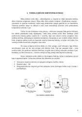 Verslo idėja. Komandinis namų darbas 4 puslapis