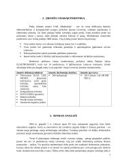 Verslo idėja. Komandinis namų darbas 5 puslapis