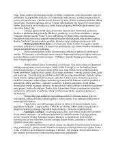 Bankų sistema 4 puslapis