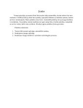 Praktikos ataskaita UAB "Marsera" 3 puslapis