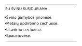 Švino sandara, naudojimas, savybės bei poveikis 8 puslapis