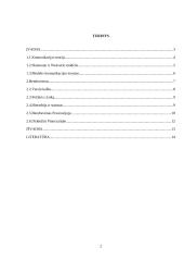 Dalykinis bendravimas Prancūzijoje 2 puslapis