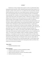 Dalykinis bendravimas Prancūzijoje 3 puslapis