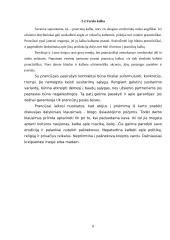 Dalykinis bendravimas Prancūzijoje 8 puslapis