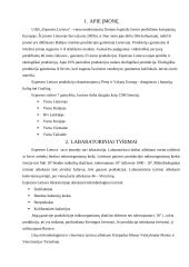 Pažintinė praktika Espersen Lietuva 2 puslapis