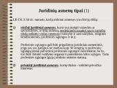 Teisė - verslo teisė 13 puslapis