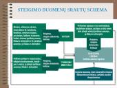 Teisė - verslo teisė 17 puslapis