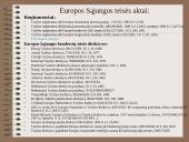 Teisė - verslo teisė 4 puslapis