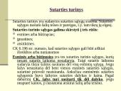 Teisė - sutartys 11 puslapis