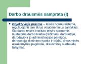 Teisė - darbo drausmė 2 puslapis