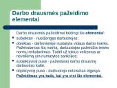 Teisė - darbo drausmė 11 puslapis
