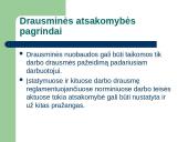 Teisė - darbo drausmė 16 puslapis