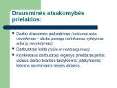 Teisė - darbo drausmė 17 puslapis