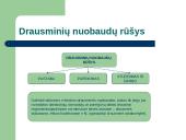 Teisė - darbo drausmė 18 puslapis