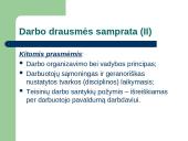 Teisė - darbo drausmė 4 puslapis