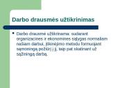 Teisė - darbo drausmė 5 puslapis