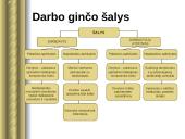 Teisė - darbo ginčai 13 puslapis