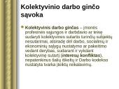 Teisė - darbo ginčai 16 puslapis