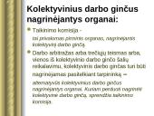 Teisė - darbo ginčai 17 puslapis