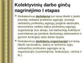 Teisė - darbo ginčai 19 puslapis