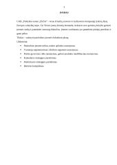 Rinkodaros darbas apie kailiniu saloną "Eksa" 3 puslapis