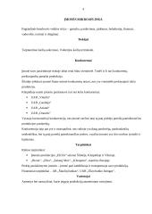 Rinkodaros darbas apie kailiniu saloną "Eksa" 4 puslapis