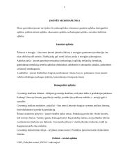 Rinkodaros darbas apie kailiniu saloną "Eksa" 5 puslapis