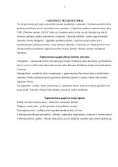 Rinkodaros darbas apie kailiniu saloną "Eksa" 7 puslapis