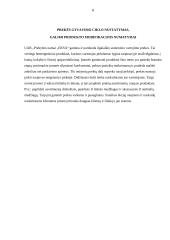 Rinkodaros darbas apie kailiniu saloną "Eksa" 8 puslapis