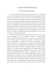 Kaimo turizmo sodybų paslaugų pasiūla Rokiškio regione 11 puslapis