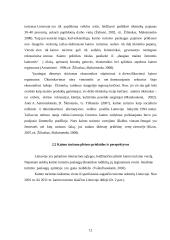 Kaimo turizmo sodybų paslaugų pasiūla Rokiškio regione 12 puslapis