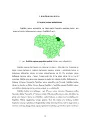 Kaimo turizmo sodybų paslaugų pasiūla Rokiškio regione 16 puslapis