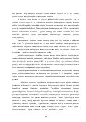 Kaimo turizmo sodybų paslaugų pasiūla Rokiškio regione 17 puslapis