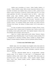 Kaimo turizmo sodybų paslaugų pasiūla Rokiškio regione 18 puslapis