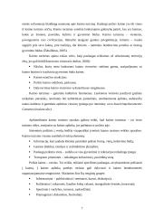 Kaimo turizmo sodybų paslaugų pasiūla Rokiškio regione 7 puslapis